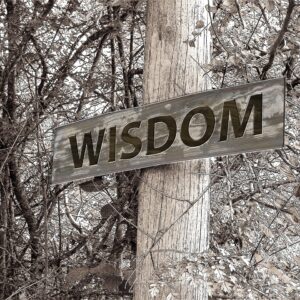 signpost, path, wisdom-229117.jpg