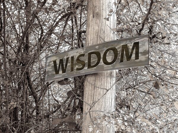 signpost, path, wisdom-229117.jpg